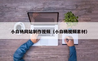 铜川小白杨网站制作视频（小白杨视频素材）